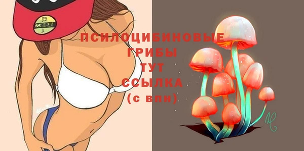 гидропоника Осинники